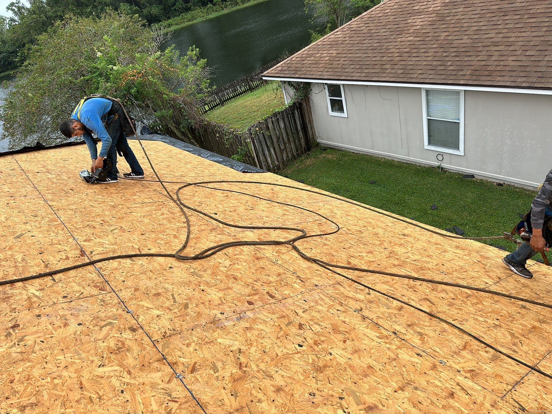 Roof Image 2